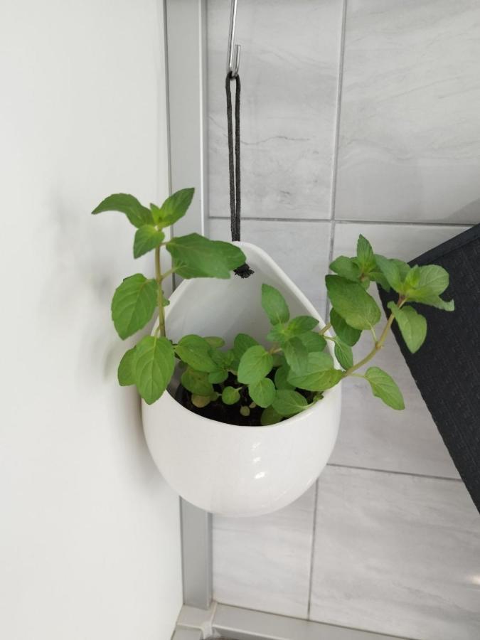 Antemma Apartment Póla Kültér fotó